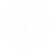 Untitled design (18)